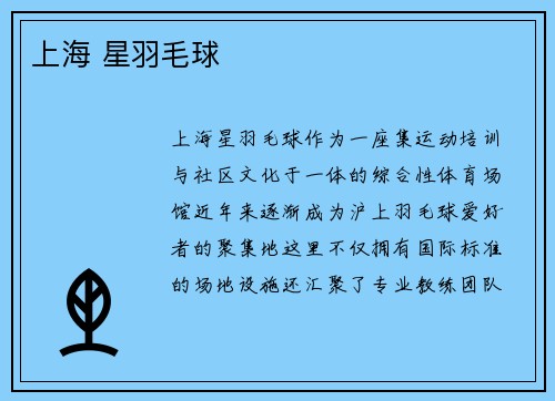 上海 星羽毛球