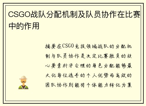 CSGO战队分配机制及队员协作在比赛中的作用